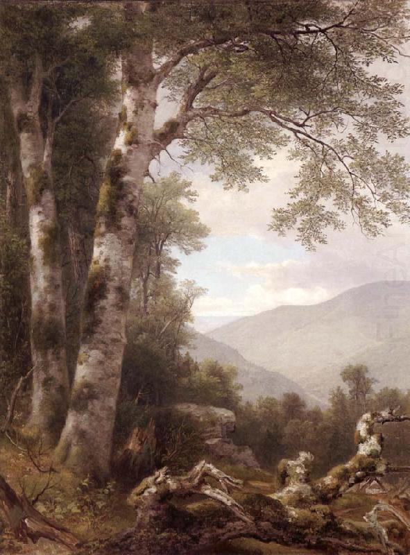 Landscape with Birches, Asher Brown Durand